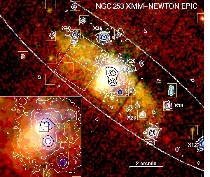 XMM-Newton observations of NGC 253