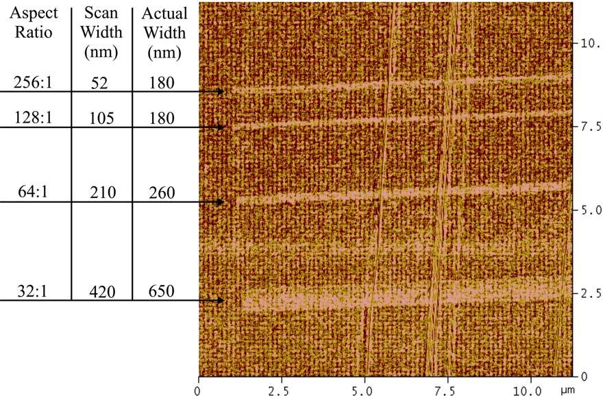 AFM tip scanned across each area ten times, with the scan aspect ratios and the scan widths shown in the figure. The measured line widths were all larger than the scan widths used.
