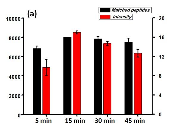 Fig. S9 The effect of enrichment time and different quantity of the MagG@COF-5 biocomposite in