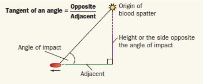 The height of the source of blood is the side opposite
