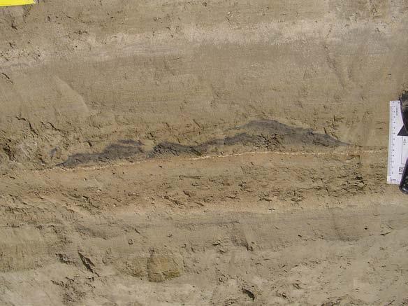 Site E bed J3 sand and granules bed K bed L possible unconformity sandy sand over carbonate