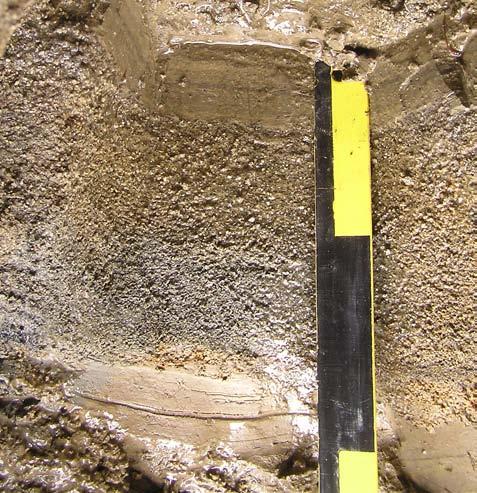 bed NN Figure S4. Tephra bed NN at site C.