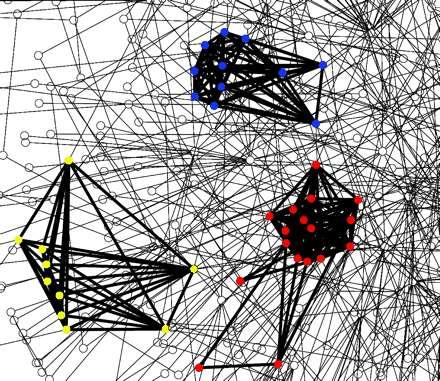 Architecture of protein network Fragment of the protein network. Nodes and interactions in discovered clusters are shown in bold.