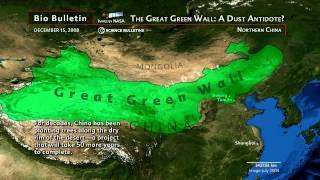 Great Green Wall of China Because of overgrazing, deforestation, and drought China is faced with a growing problem of the Yellow Dragon