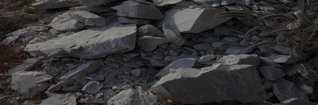 landslide investigations in lesser Himalayan Region.