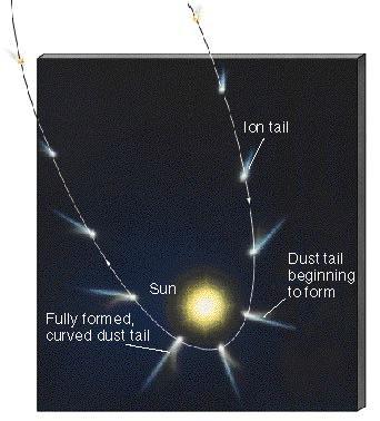 Dynamics of Comet Tails Gas (ion) tails - interact with the solar wind - point away from