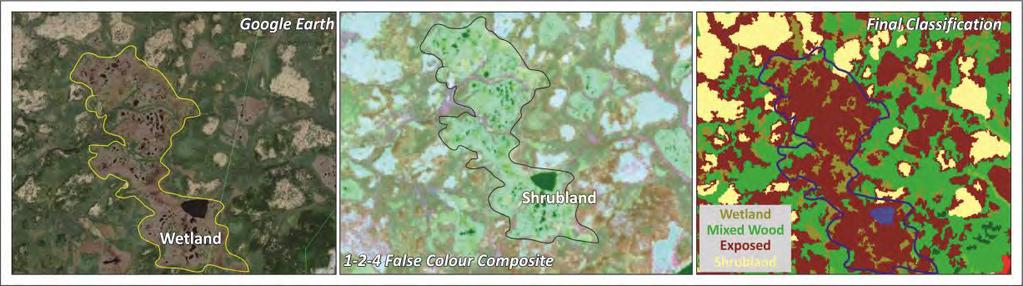 Similar problems occur between, (i) Exposed/barren vs. Shrubland (Appendix 2, Figure A2-3) (ii) Exposed/barren vs. Developed (Appendix 2, Figure A2-4) (iii) Wetland vs.