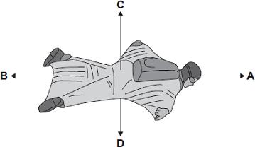 BASE jumpers jump from very high buildings and mountains for sport. The diagram shows the forces acting on a BASE jumper in flight. The BASE jumper is wearing a wingsuit.
