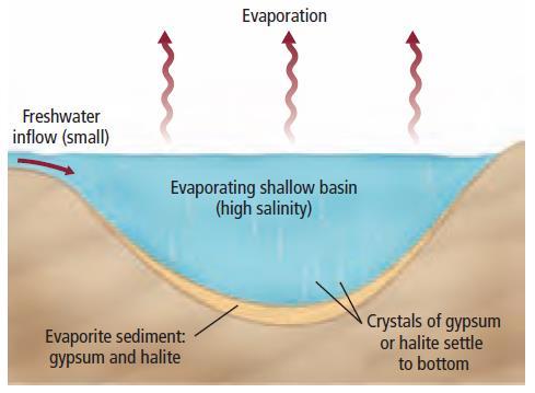 Chemical Sedimentary Rock When dissolved minerals in water reach saturation, crystal grains precipitate out of solution