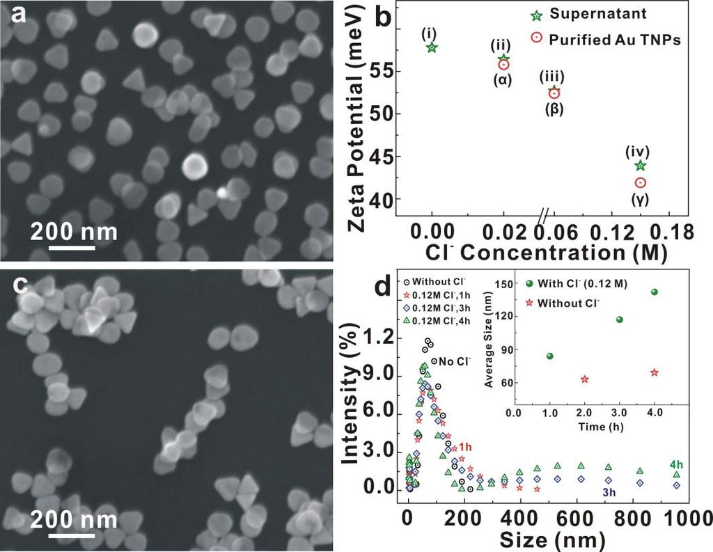 Figure S1. SEM images of the purified Au triangular nanoplates (TPs) and Zeta potential as well as particle s size distribution of Au nanoparticles (Ps).