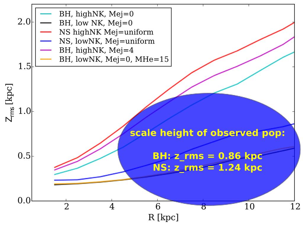 The scale height of XRBs 2 types of natal kick: σ low = 40 km/s; σ high = 100 km/s BH, highnk, Mej=0 BH, low NK, Mej=0 NS highnk Mej=uniform NS, lownk, Mej=uniform BH, highnk, Mej=4 BH, lownk,