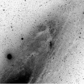 472 D. Narbutis, R. Stonkutė, V. Vansevičius Fig. 1. South-West area of the M 31 galaxy disk (DSS B-band image) with indicated fields under consideration.
