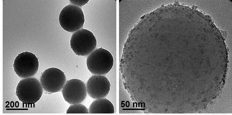 Fig. S18 TEM images of Co 3.7 /SiO 2. Fig.
