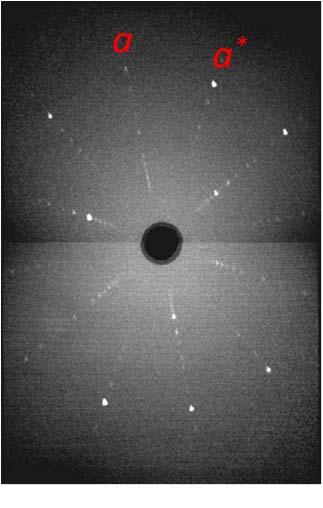 2. Single-crystal Laue diffraction Laue diffraction was made on the Sr x crystals to confirm their single-crystalline nature.