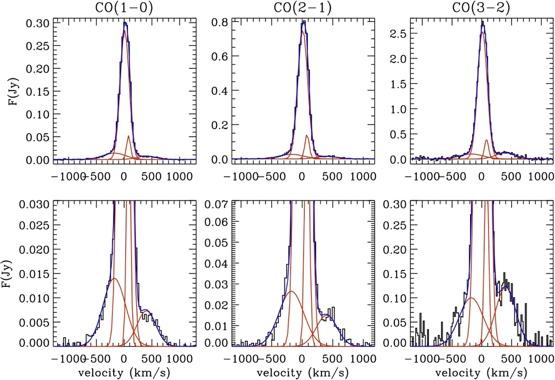 Galaxy scale molecular outflows : the case of Mrk