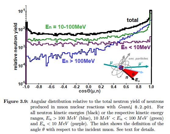 Angular dependence M. Horn. PhD thesis. Univ. of Karlsruhe (2007). Angular distribution of emitted neutrons. High-energy neutron emission is not isotropic but is correlated with the muon direction.