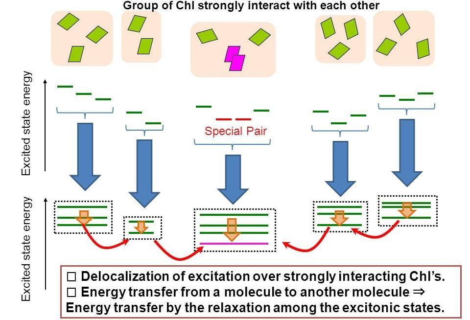Coherent and Incoherent energy transfer