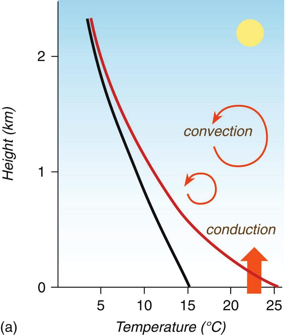 Conduction heats the air near the surface Convection heats the air