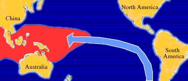 Main Climate Actors 3- El Niño/Southern Oscillation (ENSO): El Niño/Southern Oscillation (ENSO): The term for the coupled oceanatmosphere interactions in the tropical Pacific characterized by
