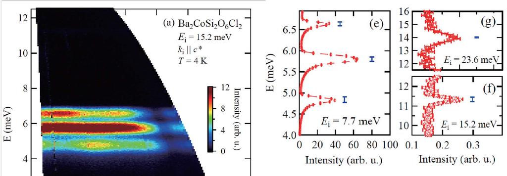 Ba 2 CoSi 2 O 6 Cl 2 : Many flat band excitations More
