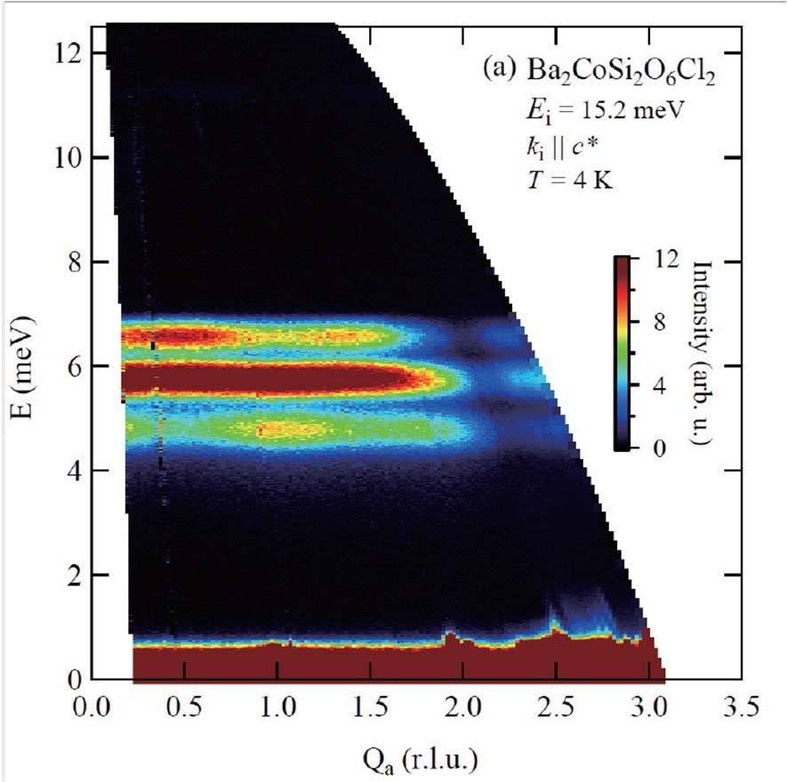 Ba 2 CoSi 2 O 6 Cl 2 : Neutron intensities Neutron scattering intensities are Q dependent for side
