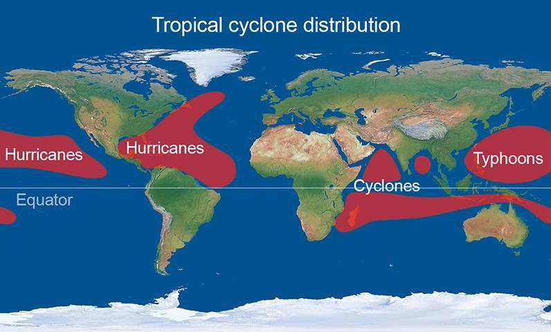 Hurricanes Whirling tropical cyclones that produce winds of at least 119