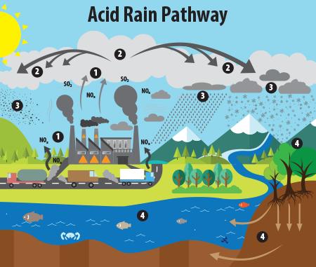 Human Impacts on the Acid Rain Acid rain is a broad term that