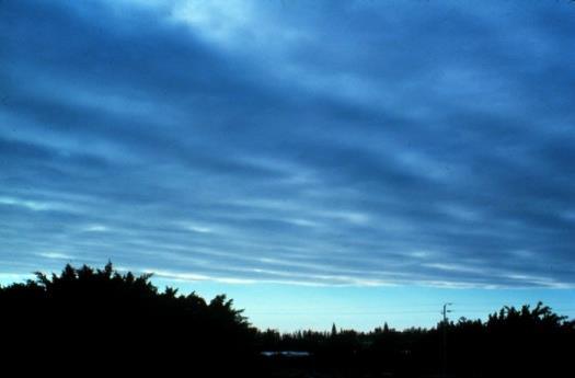 Types of Clouds Stratus are low clouds best described