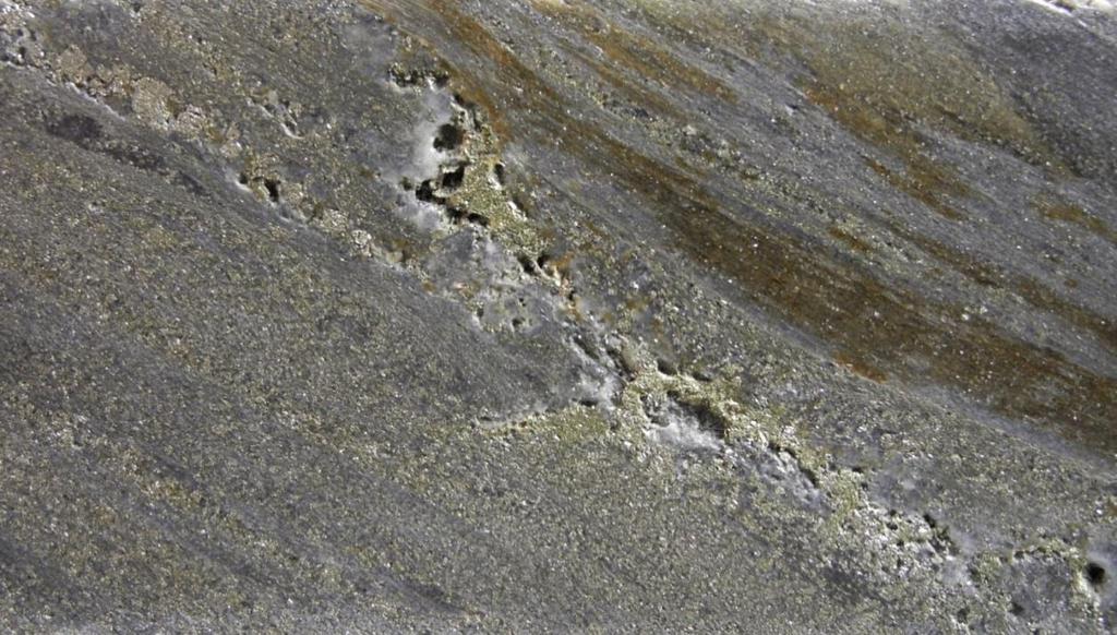Mineralisation -60 Quartz-carbonatepyrite-gold vein Steeply dipping shear fabric Pit Outline carbonates