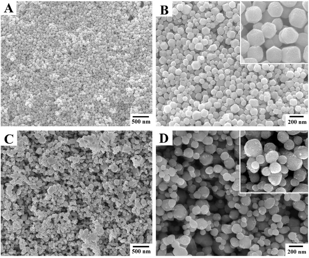 Fig. S3. (A-B) SEM images of rhombic dodecahedral Ag 3 PO 4 crystals with increasing the PVP concentrations to 500 mm; (C-D) SEM images of Ag 3 PO 4 crystals prepared by using AgNO 3 as precursor.
