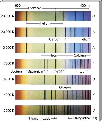 Spectral types Different stars have different spectral characteristics and