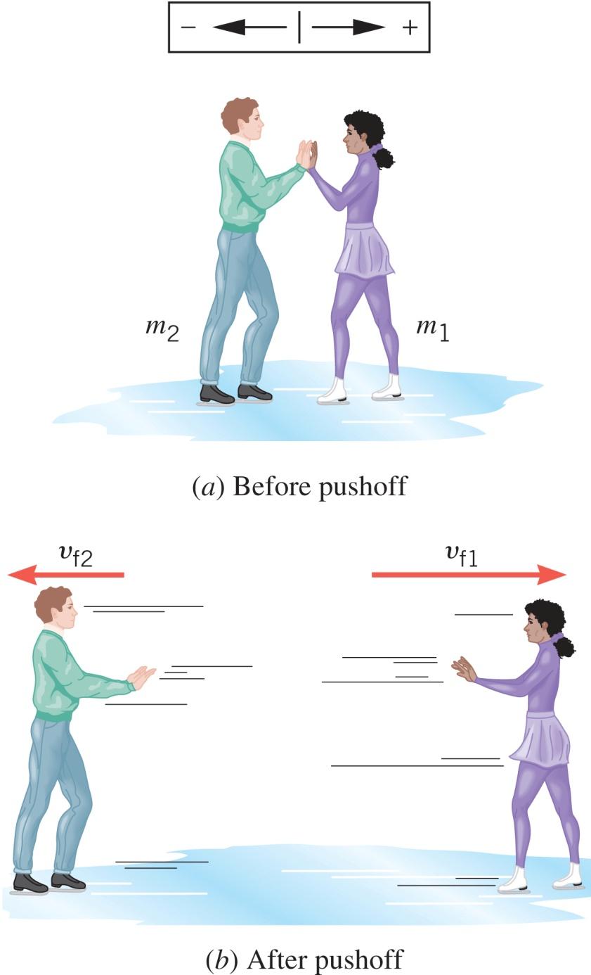 7. The Principle of Conservation of Linear Moentu Exaple: Starting fro rest, two skaters push off against each other on ice where friction is negligible. One is a 54-kg woan and other is 88-kg an.