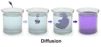 Moving Material in/out of cells Diffusion Naturally moves molecules from areas of high concentration to areas of low concentration (think