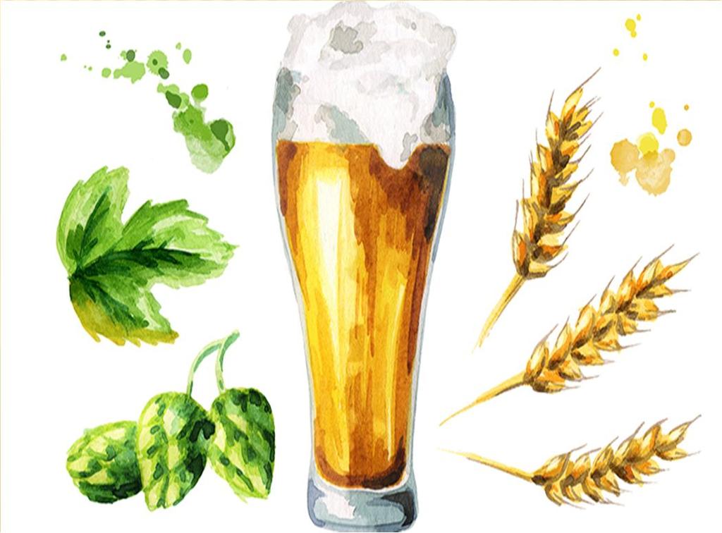 Introduction Beer aroma Volatile and non volatile compounds originating from raw materails hop, barley Also byproducts of fermentation esters,