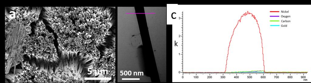 Fig. S3 a) TEM and b) SEM images of nickel NTs synthesized