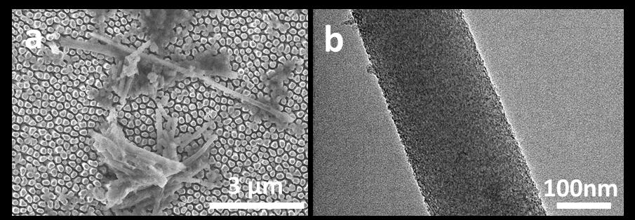 depositing from 1 M NaSO 4. Scale bars represent 2 µm. Fig.