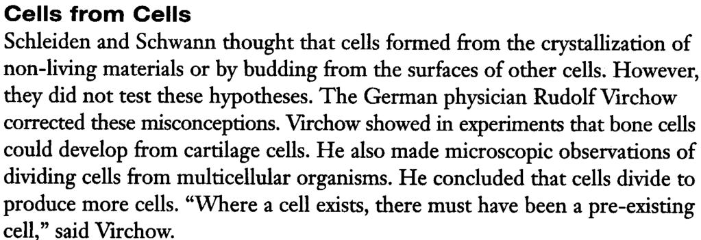 He concluded that each new cell developed from the nucleus. Schleiden d~scribed his findings to his colleague Schwann.