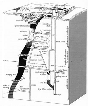 Case History: Trout Lake Mine