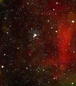 the cluster is easy to locate. Simply locate Aludra, Eta Canis Majoris, the star that marks the tip of the dog s tail.
