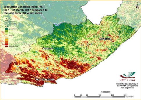The VCI normalizes the NDVI according to its changeability over many years and results in a consistent index for various land cover types.