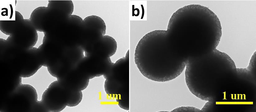 Figure S6. SEM images of the KAHTC material from fructose at the concentration of 240 g/l (0.