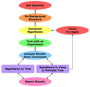 V The Scientific Method 1) Make observations and develop a question about the observation. 2) Develop a tentative answer to the question (a hypothesis) usually in the form of an If..then statement.