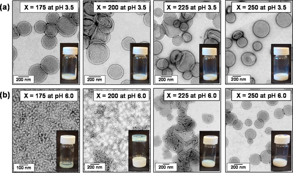 Figure 3. TEM images (recorded after dilution to 0.10% w/w solids using an aqueous solution of either ph 3.5 or ph 6.