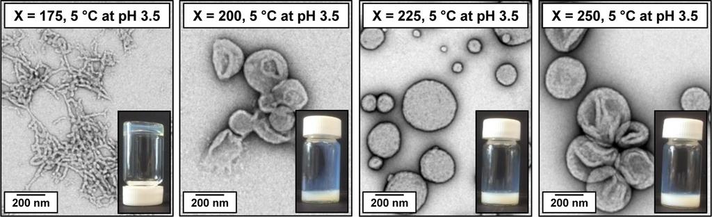 Figure 8. TEM images (for grids prepared at 5 C after dilution to 0.10% w/w copolymer at ph 3.