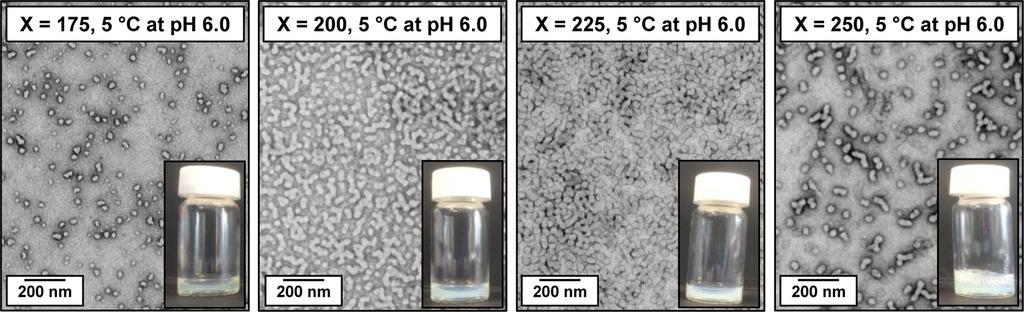 Representative TEM images obtained for HOOC-PGMA43-PHPMAX dispersions after dilution at 5 C to dilution to 0.10% w/w copolymer at ph 6.