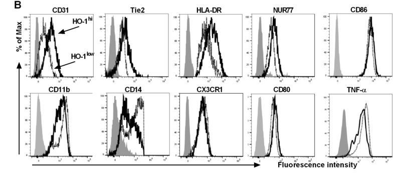 Expanded subpopulation of circulating patrolling monocytes expressing high levels of HO-1 in SCD C D 3 1 T ie 2 N U
