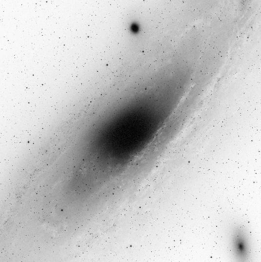No. 5, 2003 STELLAR CONTENT OF BULGE OF M31 2475 observed in BW, but instead it shows a change in slope at M K 8 and a break at M K 8.