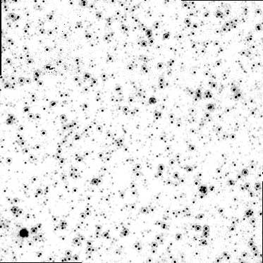 No. 5, 2003 STELLAR CONTENT OF BULGE OF M31 2479 Field 177 Field 280 Field 170 Field 174 Fig. 5. NIC1 J-band images of fields F170 F280. Each image is 16 00 across.