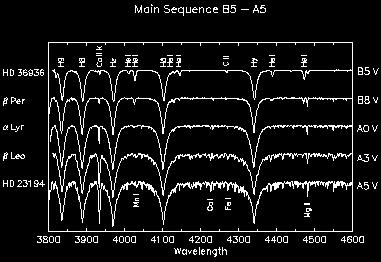 Balme Seies Tansition 3 -> 2 4 -> 2 5 -> 2 6 -> 2 7-> 2 H lines each maximum stength. Ca II gowing.