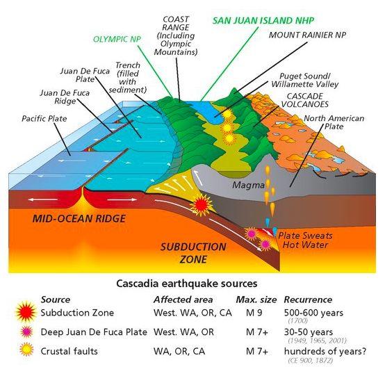 Subduction and the Cascades Subduction: Two tectonic plates are colliding. Generally, whichever has the higher density ( weighs more ) goes under (subducts) the lighter plate. The Cascades (Mt.